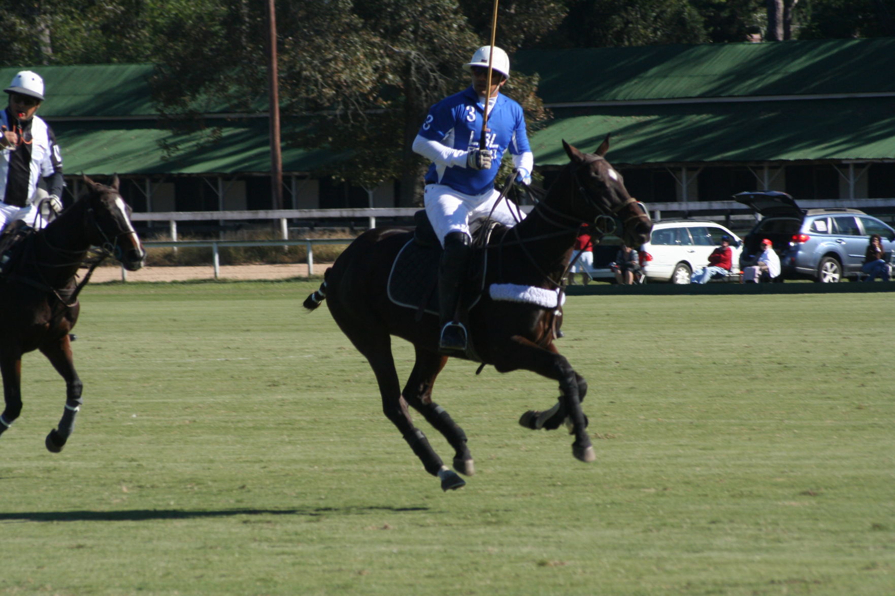 Thoroughbred Country is known for its polo stables, fields, horse parks and training tracks. Polo has been played at Aiken Polo Club's Whitney Field since 1882.